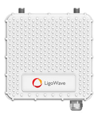 Ligowave PTMP RapidFire 600 Mbps Carrier Subscriber Unit with N-Type connectors.
