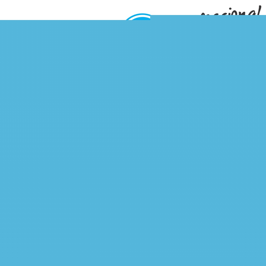 BLACK BRISTLE WHEEL BRUSH 21MM. SH.2.35MM