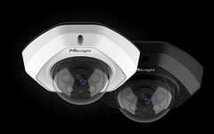 Milesight 2MP AI Vandal-Proof Dome Network Camera | MS-C2973-PD
