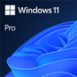 MICROSOFT WIN 11 PRO 64BIT DSP