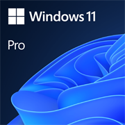 MICROSOFT WIN 11 PRO 64BIT DSP