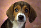 NB200 NOTEBOOK STICKER 15.6" 3D DOG