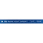 300MM CORK BACKED STAINLESS STEEL RULER BLUE