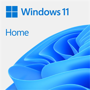 Microsoft Windows 11 Home DSP